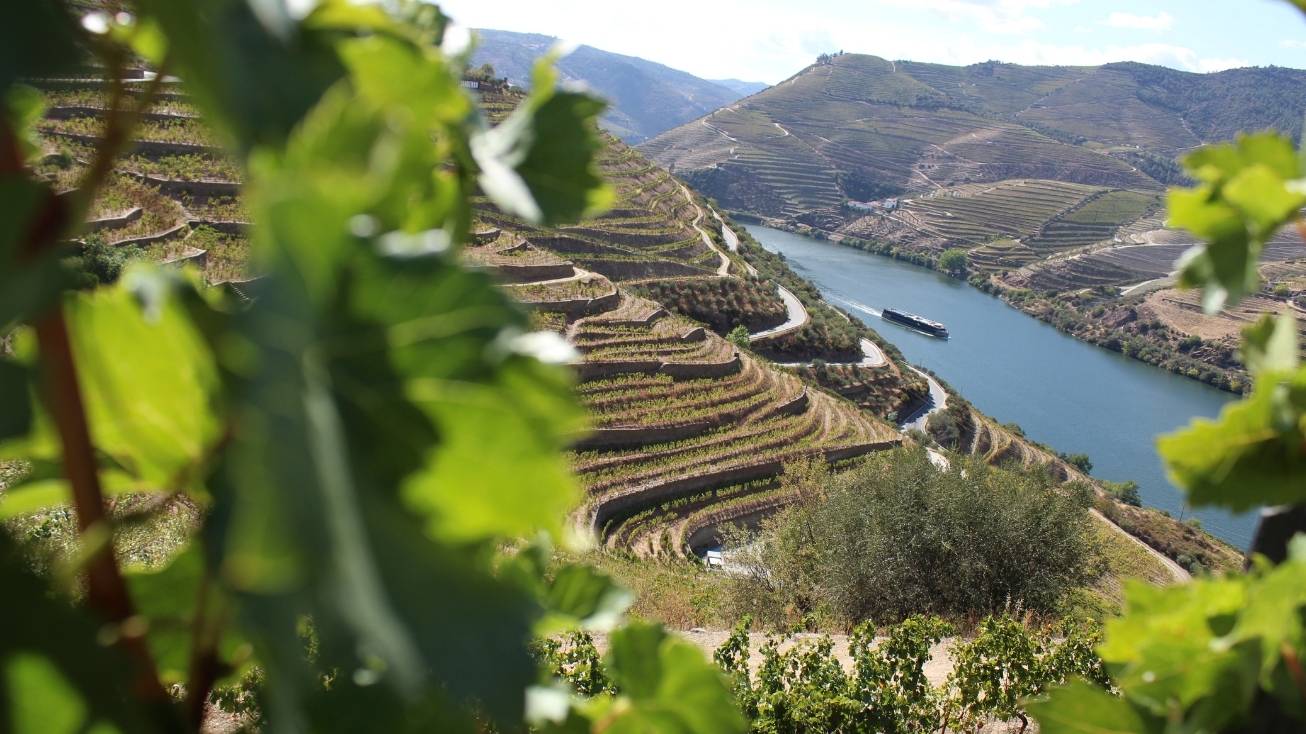 vale douro