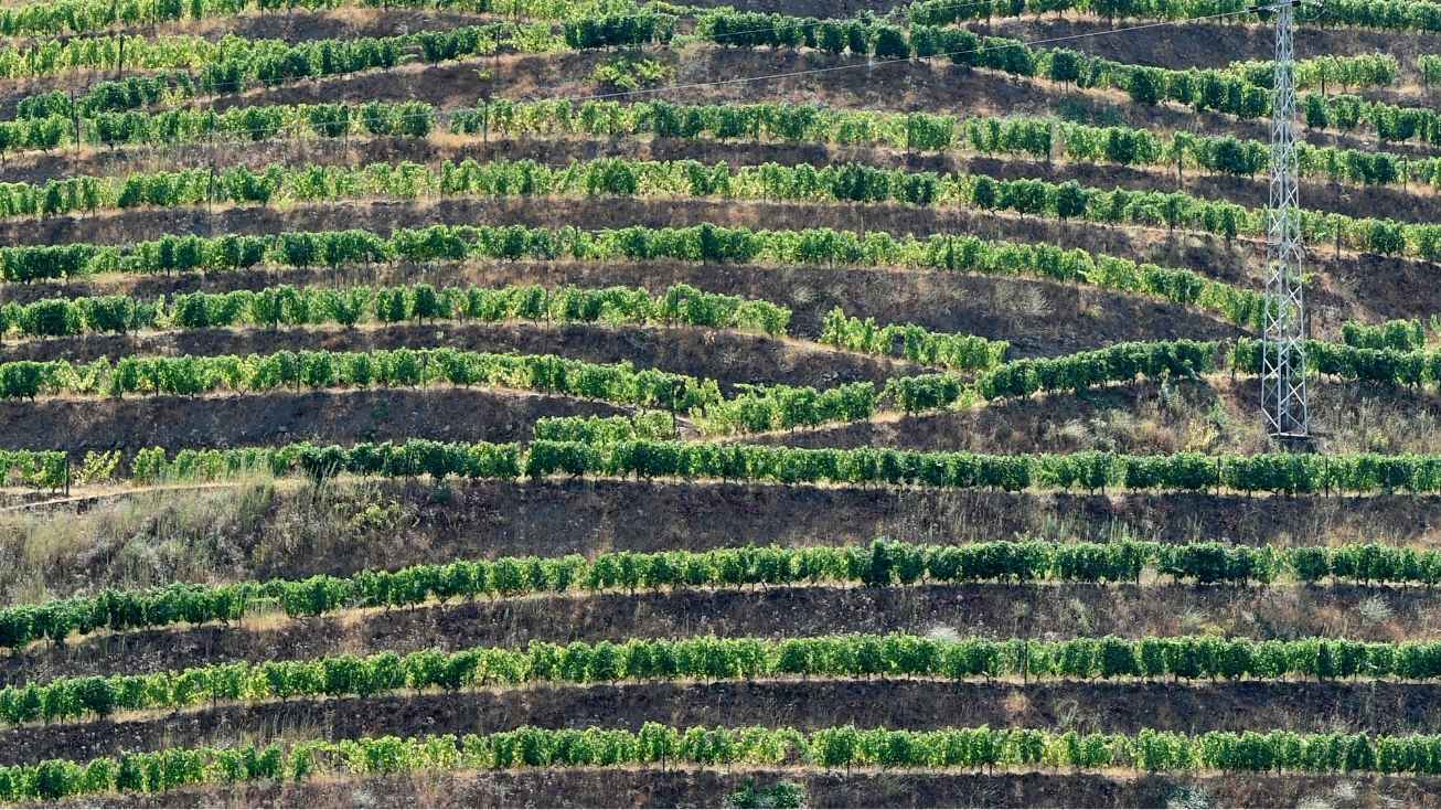 douro valley