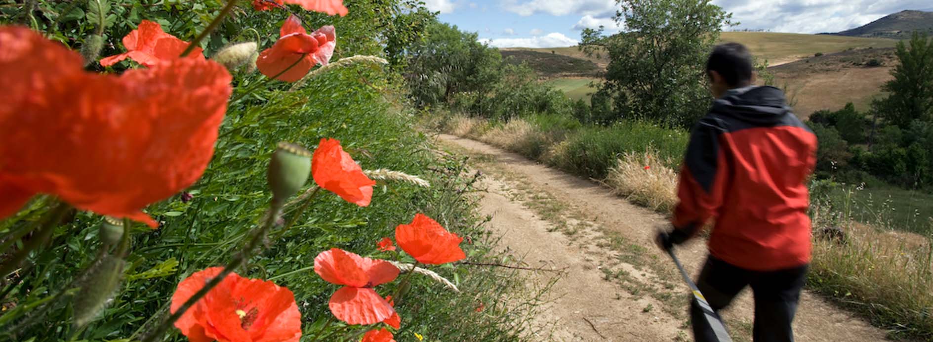 natural-park-montesinho-bragança