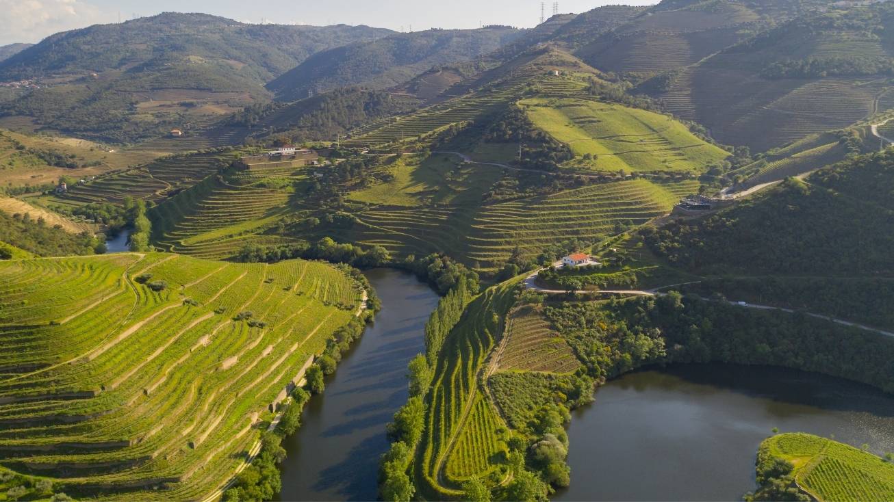 alto douro vinhateiro