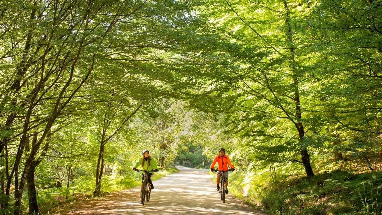 bicicleta porto norte