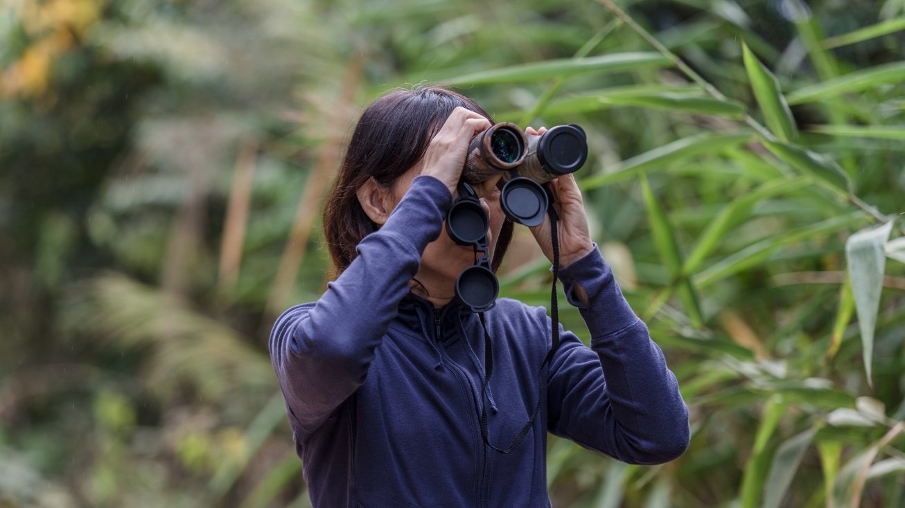Birdwatching