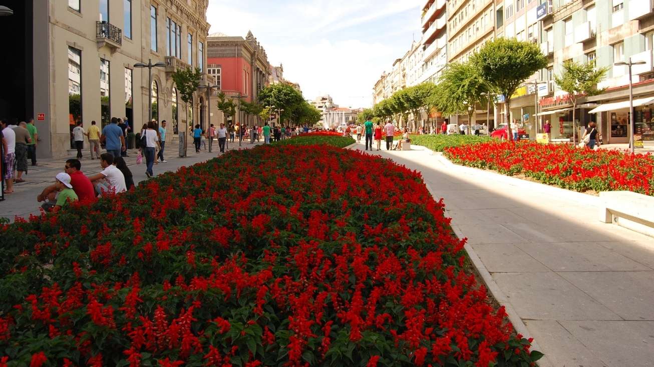 braga jardim