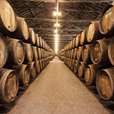 caves vinho do porto