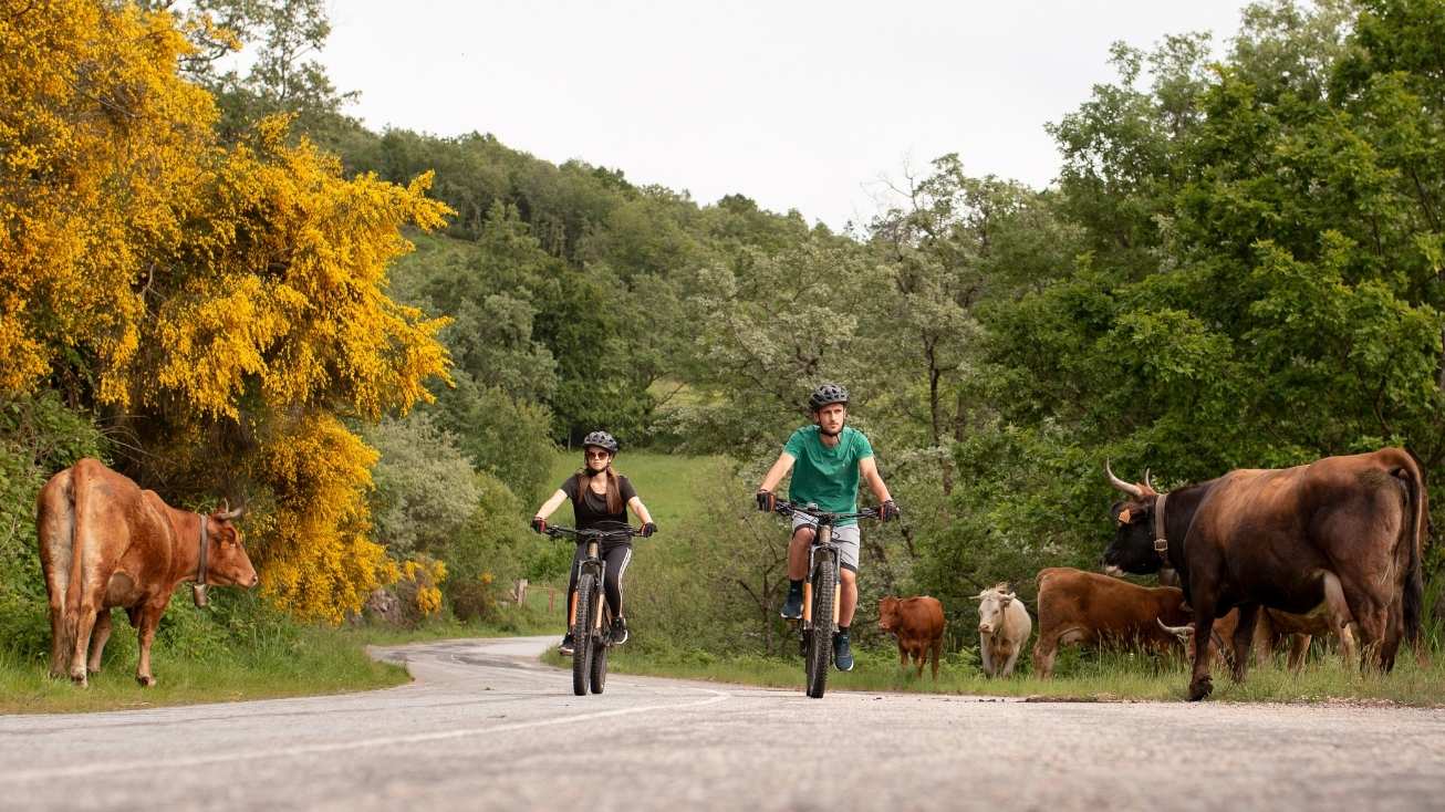 cycling norte