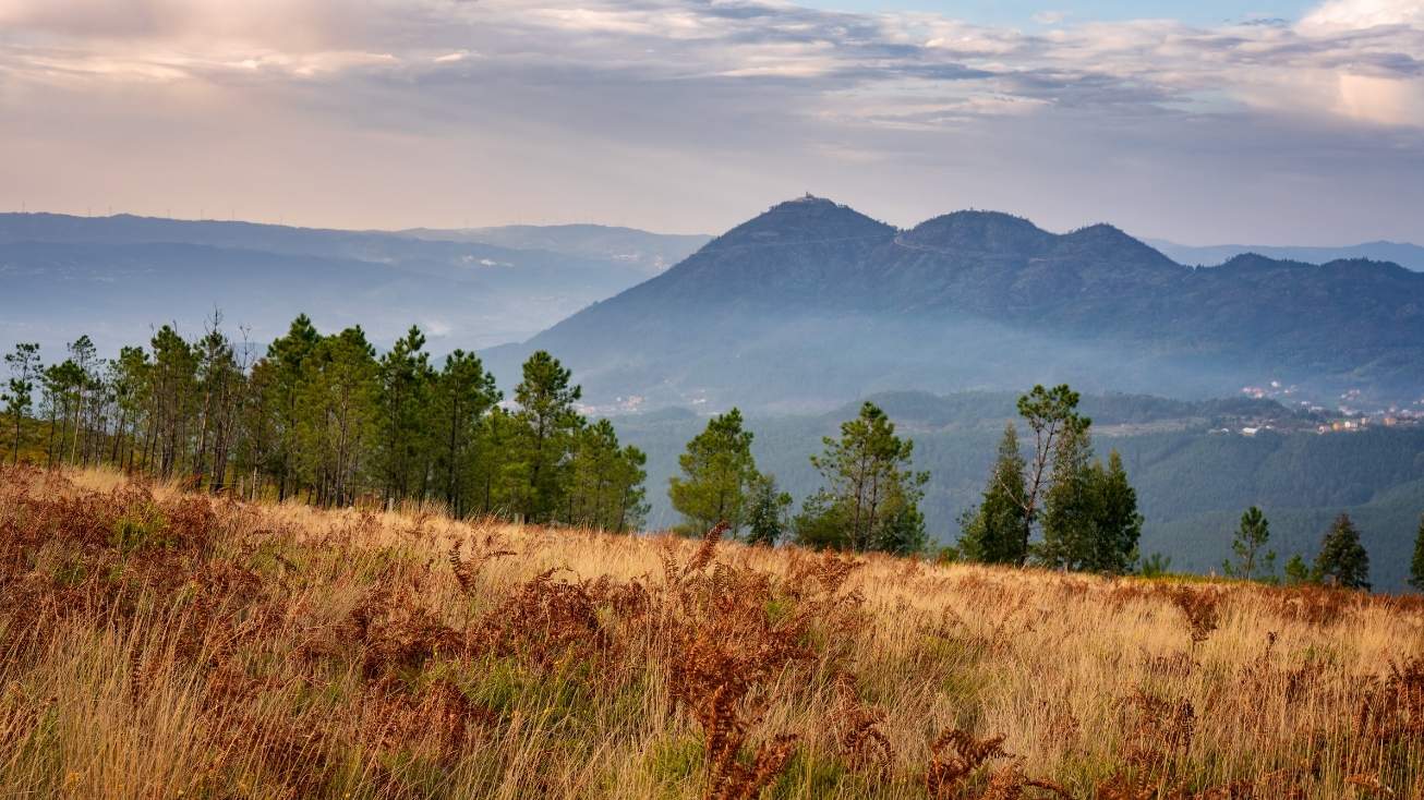 ecopista tamega mondim basto