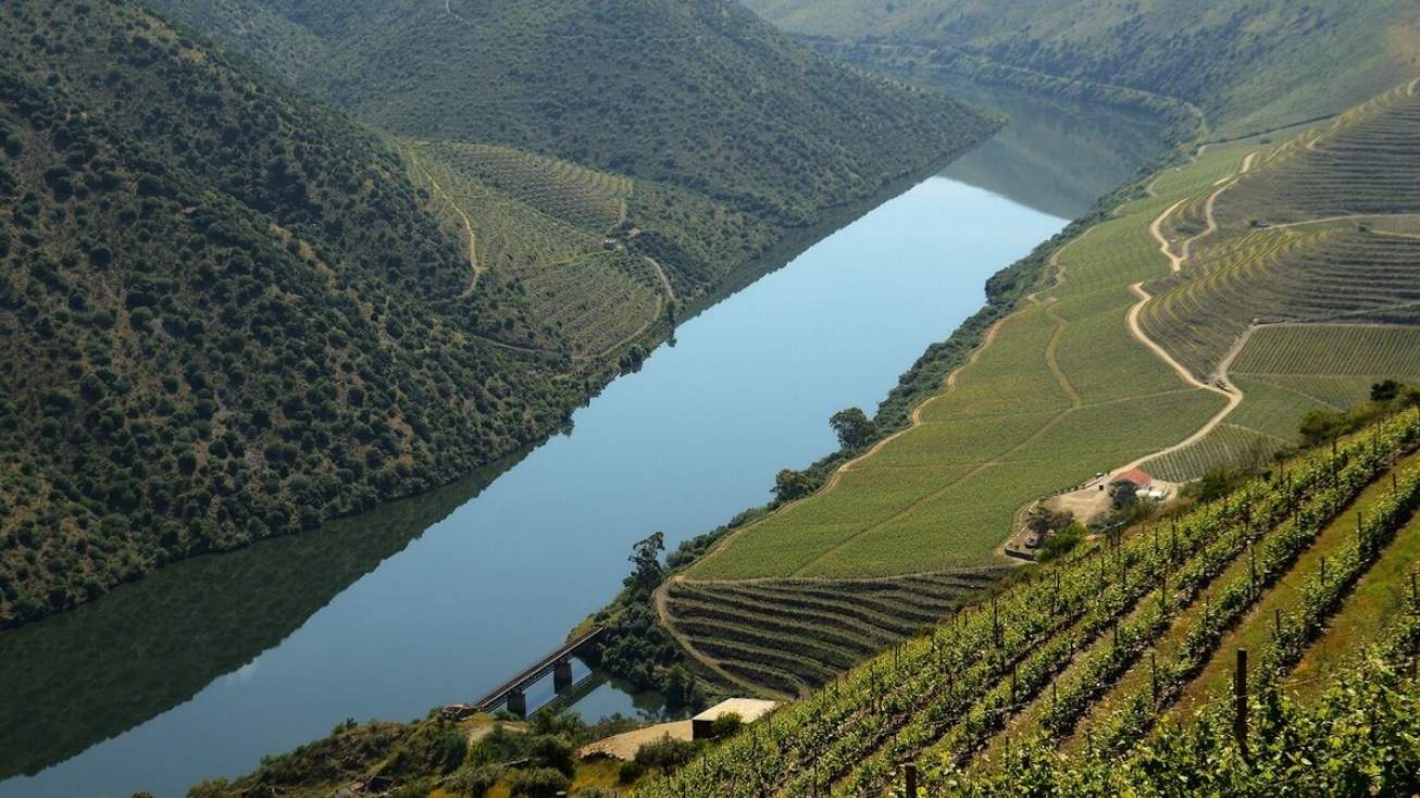 estacao foz coa douro