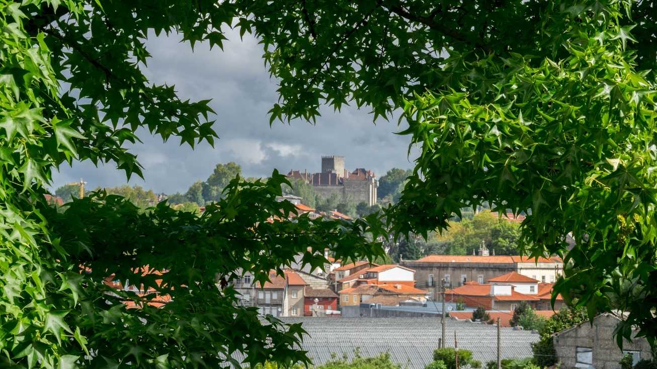 guimaraes
