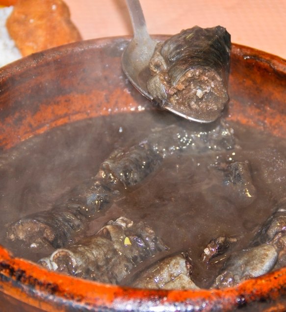 Lampreia Bordalesa