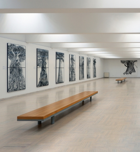 lugar desenho fundacao julio resende