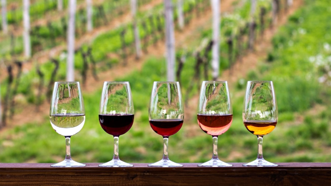 prova vinhos