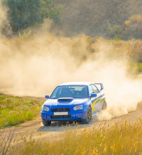 rally portugal
