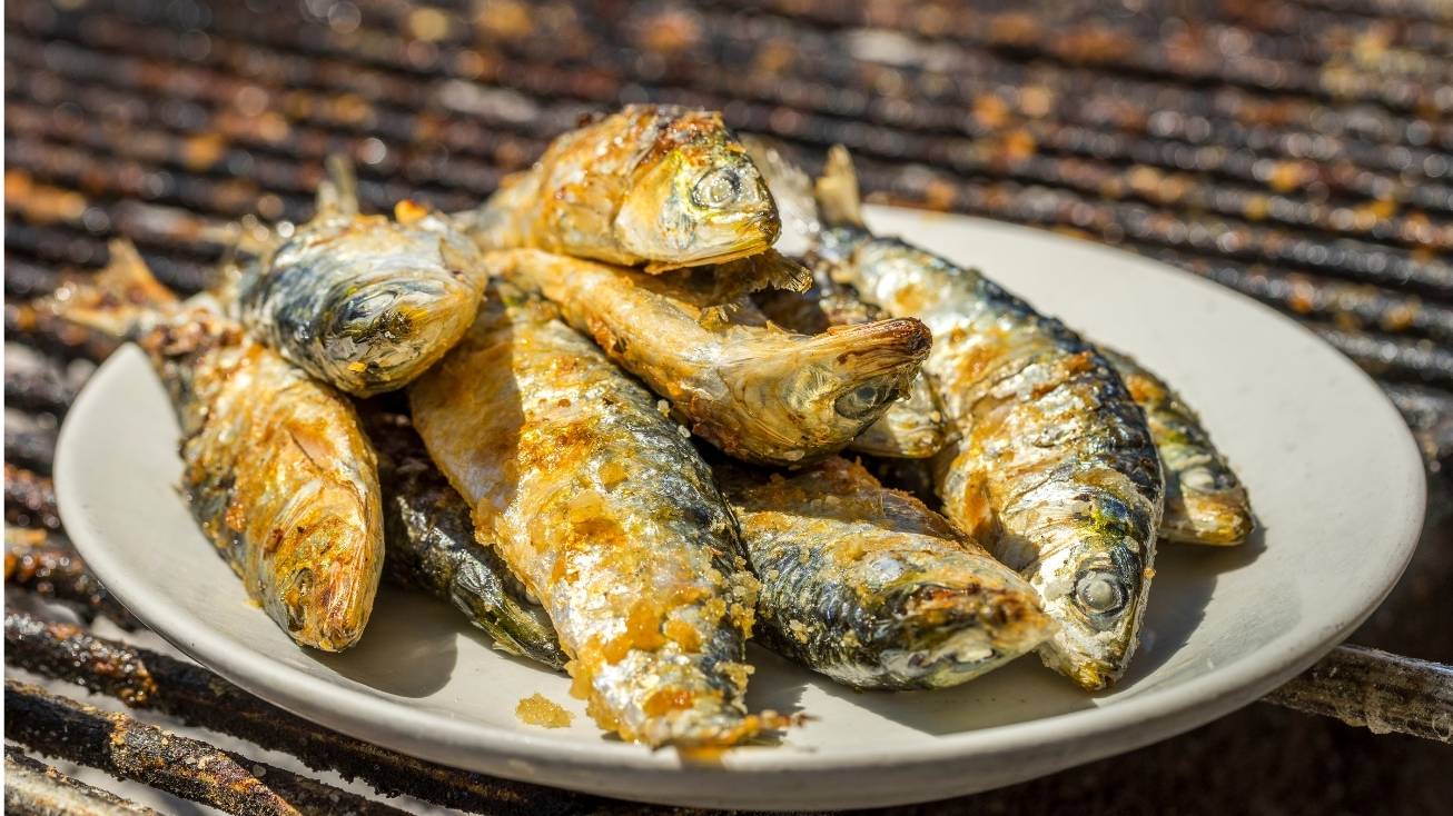sardinhas porto
