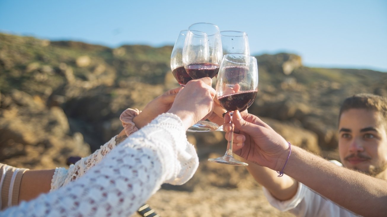 vinhos tras os montes