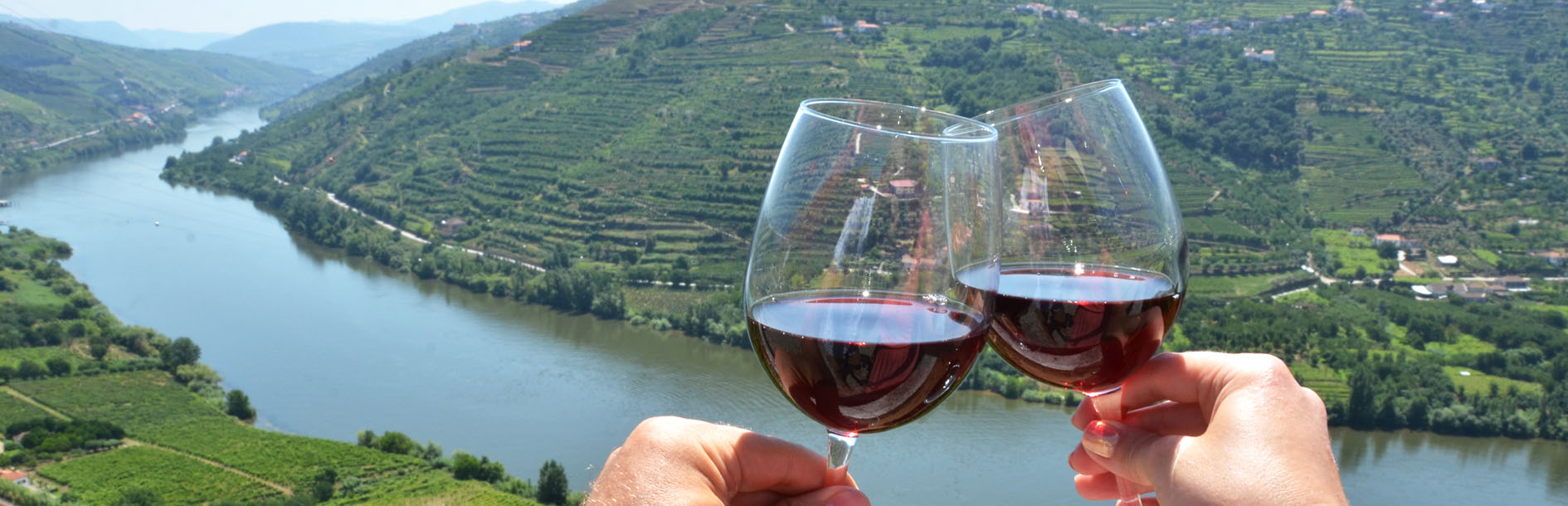 douro_vinho